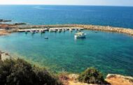 1ο Φεστιβάλ Ψαριού στην Πέγεια