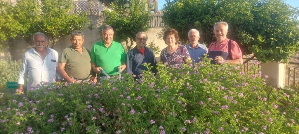 Εθελοντική δράση για καθαρισμό στο βοτανικό πάρκο Ανδρέα Χριστοδούλου στην Τσάδα