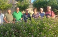 Εθελοντική δράση για καθαρισμό στο βοτανικό πάρκο Ανδρέα Χριστοδούλου στην Τσάδα