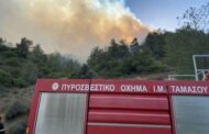 Μικρή έκταση με χαμηλή βλάστηση έκαψε πυρκαγιά στην κοινότητα Κάθηκα