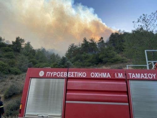 Μικρή έκταση με χαμηλή βλάστηση έκαψε πυρκαγιά στην κοινότητα Κάθηκα