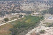 Σε επιστολή προς Ελεγκτή παραπέμπει το Τμήμα Δασών για Έκθεση Πάρκου Ακάμα