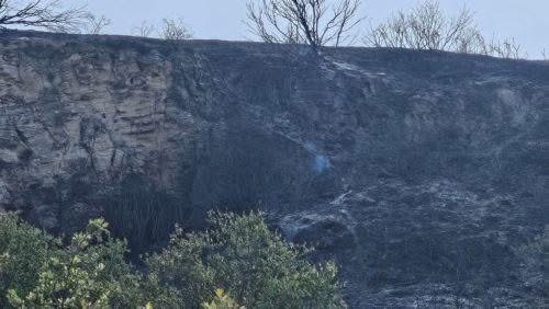 Υπό πλήρη έλεγχο δασική πυρκαγιά στην περιοχή Αρχιμανδρίτας