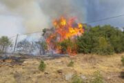 Σε κινητοποίηση Πυροσβεστική και Τμήμα Δασών έπειτα από πυρκαγιά στην Στενή