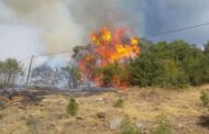 Σε κινητοποίηση Πυροσβεστική και Τμήμα Δασών έπειτα από πυρκαγιά στην Στενή