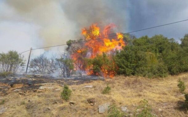 Υπό πλήρη έλεγχο δασική πυρκαγιά στο Νέο Χωριό της Πάφου
