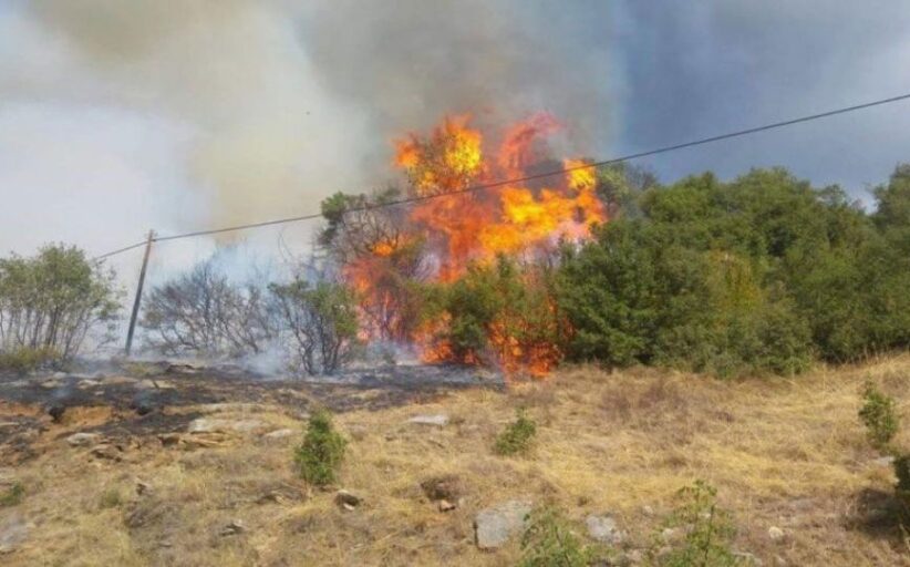 Σε κινητοποίηση Πυροσβεστική και Τμήμα Δασών έπειτα από πυρκαγιά στην Στενή