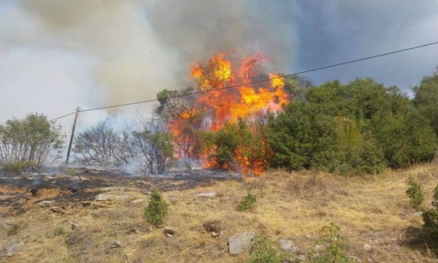 Σε κινητοποίηση Πυροσβεστική και Τμήμα Δασών έπειτα από πυρκαγιά στην Στενή