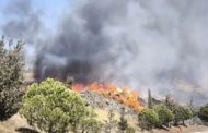 Μεγάλη η περιβαλλοντική καταστροφή, είπε Ανώτερος Λειτουργός της Υπηρεσίας Θήρας