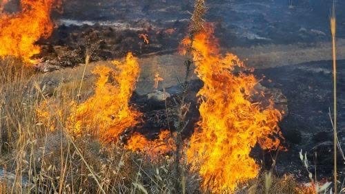 Πύρινη κόλαση στην Πάφο: Καίγεται η Αγία Βαρβάρα, η Νατά και Επισκοπή