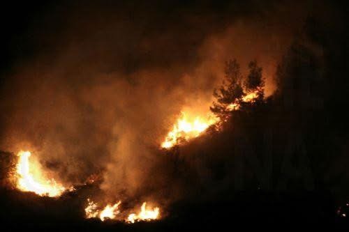 Ανησυχία Προέδρου Ένωσης Κοινοτήτων Πάφου για αθέριστα σπαρτά και παράνομους σκυβαλότοπους