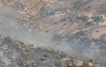 Στάχτη το ελαιοχώρι μεταξύ Πενταλιάς και Γαλαταριάς, λέει  ο Σ. Ιεζεκιήλ