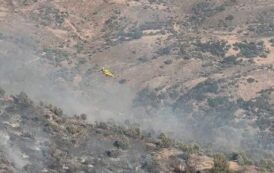 Στάχτη το ελαιοχώρι μεταξύ Πενταλιάς και Γαλαταριάς, λέει  ο Σ. Ιεζεκιήλ