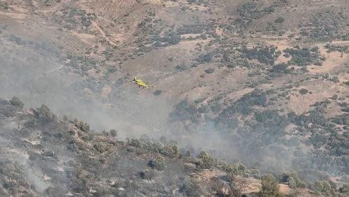 Στάχτη το ελαιοχώρι μεταξύ Πενταλιάς και Γαλαταριάς, λέει  ο Σ. Ιεζεκιήλ