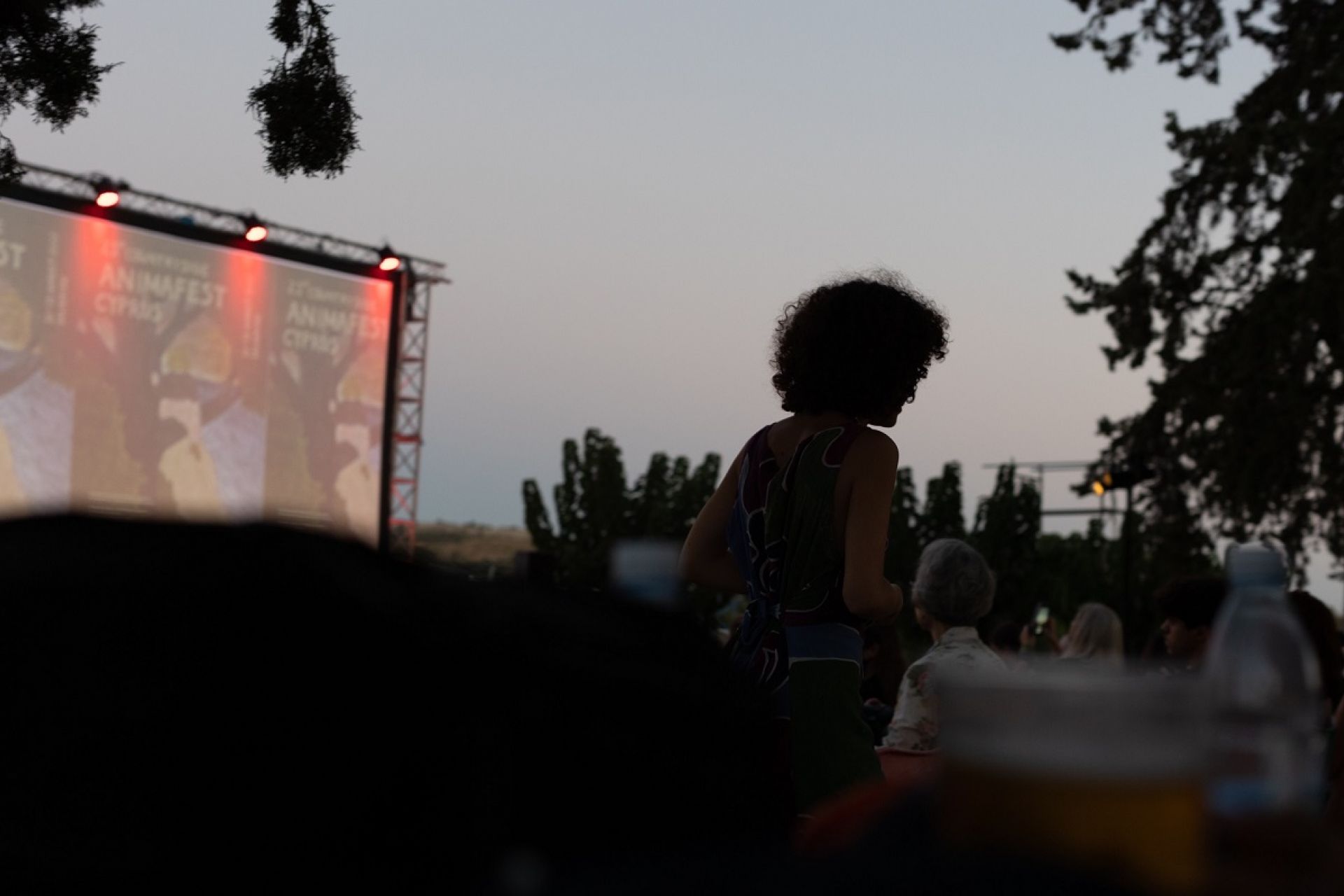 Πραγματοποιείται το Animafest Cyprus από 8 έως 10 Αυγούστου στη Σαλαμιού