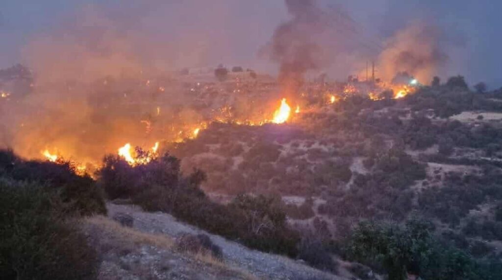 ΕΡΑΝΟΣ ΠΑΓΚΥΠΡΙΟΥ ΣΥΝΤΟΝΙΣΤΙΚΟΥ ΣΥΜΒΟΥΛΙΟΥ ΕΘΕΛΟΝΤΙΣΜΟΥ