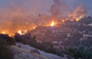 ΕΡΑΝΟΣ ΠΑΓΚΥΠΡΙΟΥ ΣΥΝΤΟΝΙΣΤΙΚΟΥ ΣΥΜΒΟΥΛΙΟΥ ΕΘΕΛΟΝΤΙΣΜΟΥ