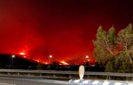 Γίνεται καταμέτρηση των νεκρών ζώων φάρμας, λέει ο ανώτερος κτηνιατρικός λειτουργός