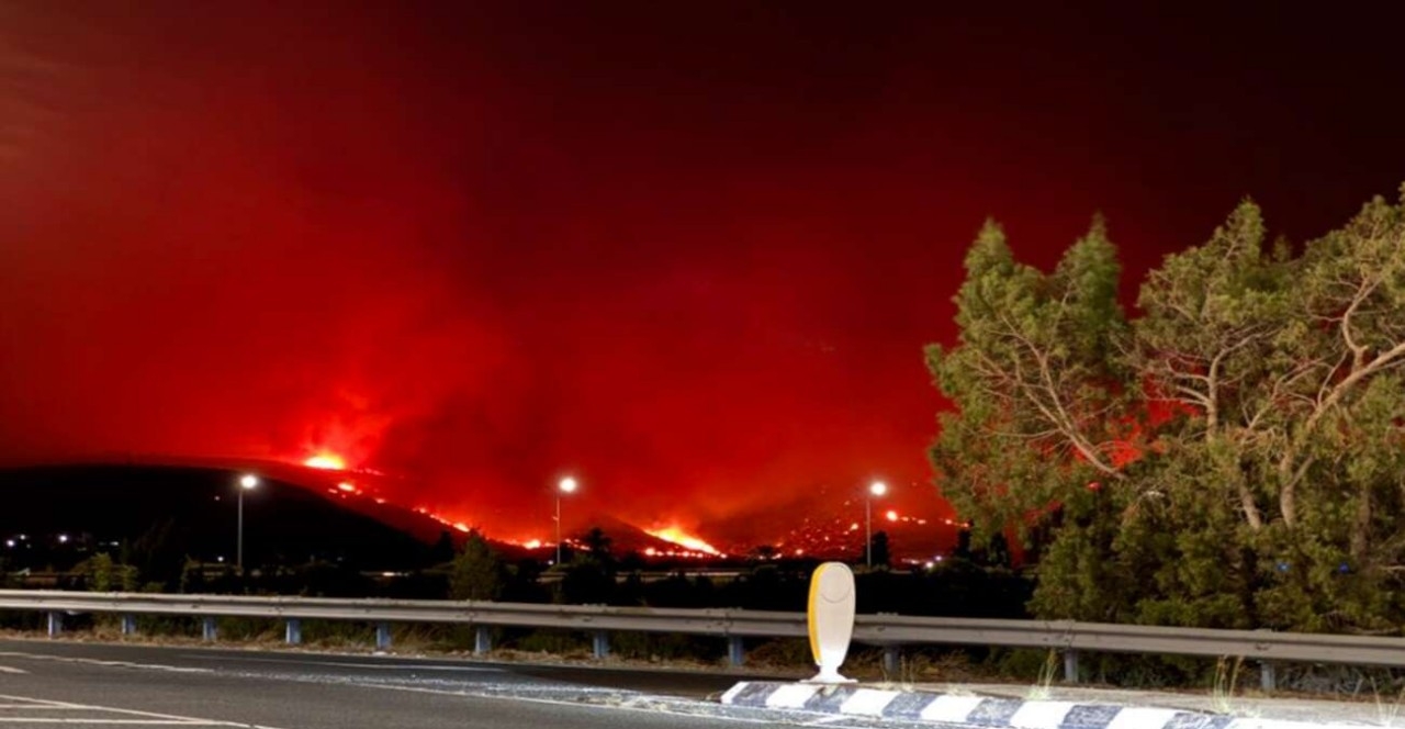 Γίνεται καταμέτρηση των νεκρών ζώων φάρμας, λέει ο ανώτερος κτηνιατρικός λειτουργός