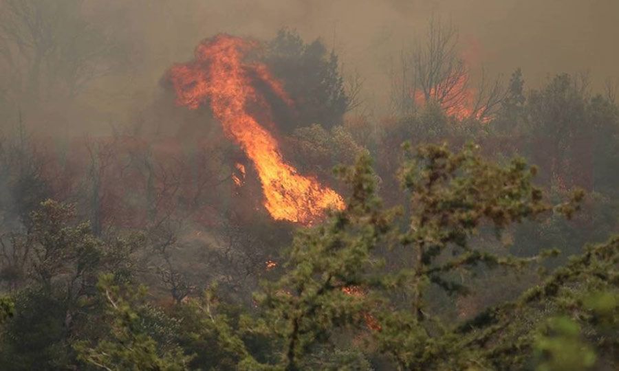 Εθελοντικές ομάδες συνδράμουν στο έργο της κατάσβεσης στη φωτιά στη Γαλαταριά