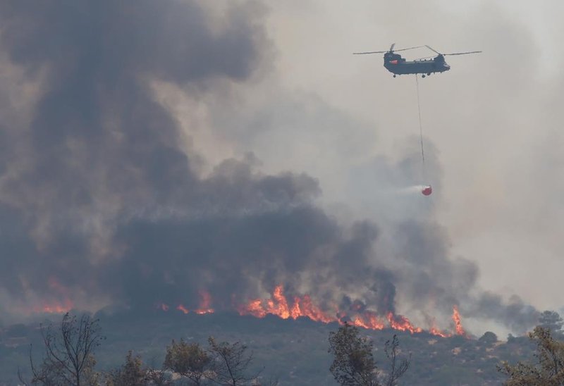 Θα προχωρήσουν με την καύση νεκρών ζώων, λέει η Επίτροπος Περιβάλλοντος