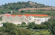 Ο ΣΟΔΑΠ  ανακοινώνει τα κριτήρια παραλαβής της φετινής εσοδείας σταφυλιών
