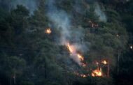 Πυρκαγιά στην Τάλα έκαψε ξηρά χόρτα, προστατεύτηκαν κατοικίες λέει η Πυροσβεστική