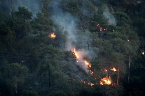 Πυρκαγιά στην Τάλα έκαψε ξηρά χόρτα, προστατεύτηκαν κατοικίες λέει η Πυροσβεστική