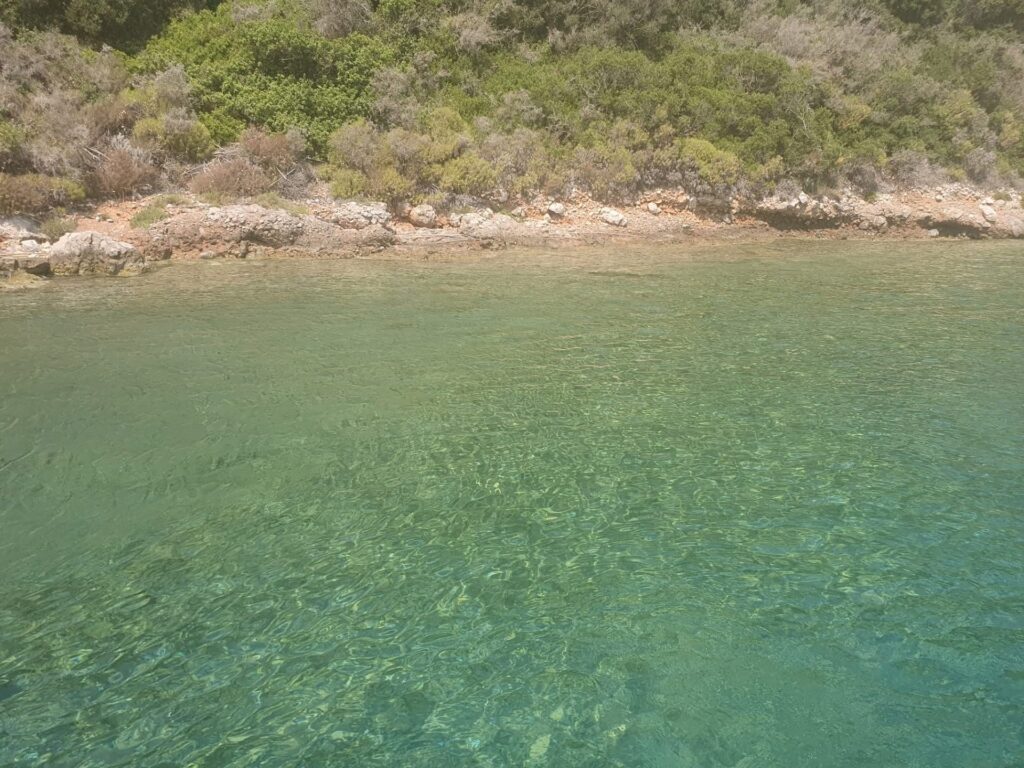 Απορρίπτει ο Δήμαρχος Ακάμα ότι η εκδήλωση στην Πέγεια επηρέασε τις χελώνες