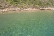 Απορρίπτει ο Δήμαρχος Ακάμα ότι η εκδήλωση στην Πέγεια επηρέασε τις χελώνες