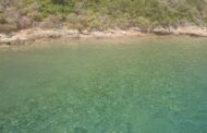 Απορρίπτει ο Δήμαρχος Ακάμα ότι η εκδήλωση στην Πέγεια επηρέασε τις χελώνες