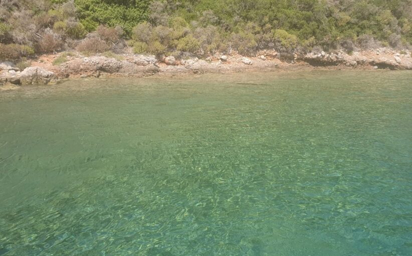 Απορρίπτει ο Δήμαρχος Ακάμα ότι η εκδήλωση στην Πέγεια επηρέασε τις χελώνες