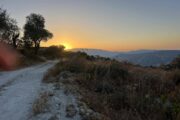Κίνημα Οικολόγων: Ευθύνες για τα οδικά έργα στον Ακάμα