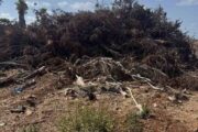 Μ. Λάμπρου: Άμεσα έδρασε ο Δ. Ακάμα για τερματισμό εργασιών επιχωμάτωσης