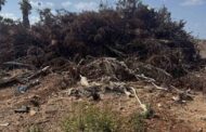 Μ. Λάμπρου: Άμεσα έδρασε ο Δ. Ακάμα για τερματισμό εργασιών επιχωμάτωσης