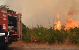 Υπό πλήρη έλεγχο δασική πυρκαγιά στην τοποθεσία Κολώνη κοντά στα όρια του κρατικού δάσους Ακάμα