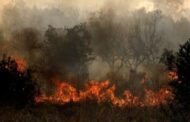 Η κοινωνική απαίτηση για διαφάνεια γίνεται πράξη με τη δημοσιοποίηση των εκθέσεων από τον ΠτΔ