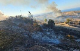 Υπό πλήρη έλεγχο δασική πυρκαγιά στην κοινότητα Δρούσιας