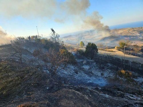 Υπό πλήρη έλεγχο δασική πυρκαγιά στην Δρούσεια