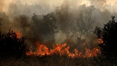 Η κοινωνική απαίτηση για διαφάνεια γίνεται πράξη με τη δημοσιοποίηση των εκθέσεων από τον ΠτΔ