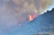 «Κόκκινος Συναγερμός» την Κυριακή για τον κίνδυνο πρόκλησης δασικών πυρκαγιών