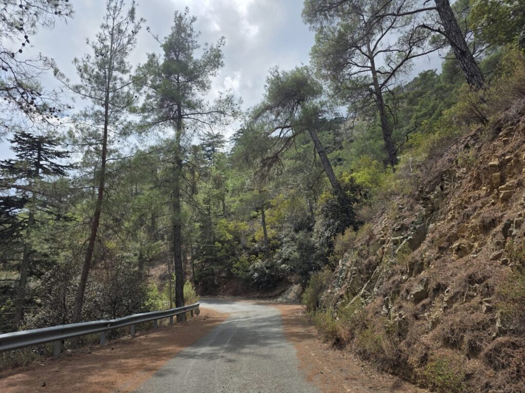 Έκταση δυο εκταρίων έκαψε δασική πυρκαγιά στην κοινότητα Λυσού