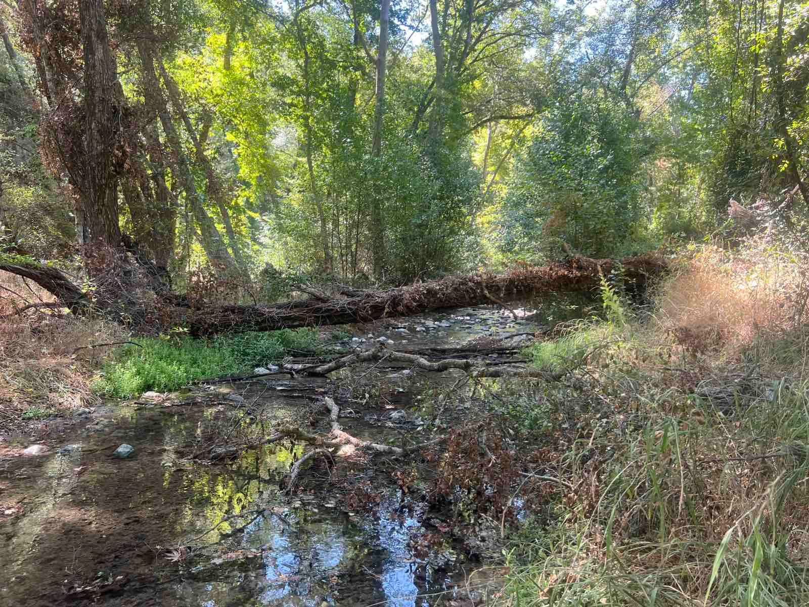 Στον ΕΟΑ Πάφου η ευθύνη αξιοποίησης γεώτρησης στην Αγ. Μαρίνα Χρυσοχούς, λέει το ΤΑΥ
