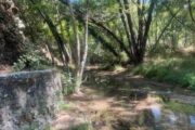 Υπό πλήρη έλεγχο δασική πυρκαγιά σε περιοχή της Τρεμιθούσας