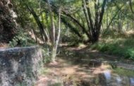 Υπό πλήρη έλεγχο δασική πυρκαγιά σε περιοχή της Τρεμιθούσας