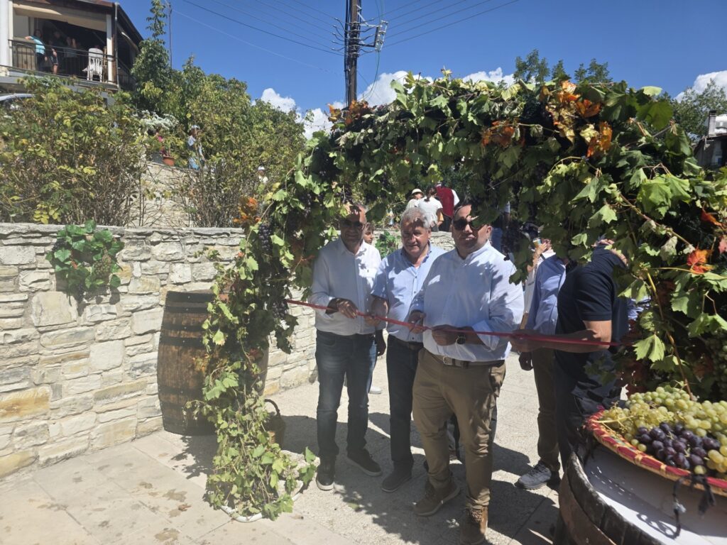 Γιόρτασε τον Τρύγο η Παναγιά με πάτημα σταφυλιών και παλουζέ