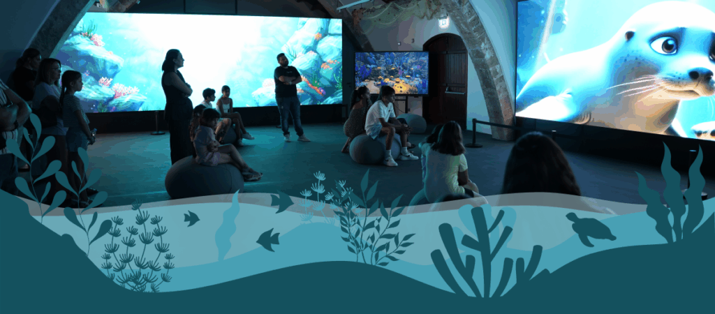 Δ. Π. Χρυσοχούς: Τα κοχύλια το 