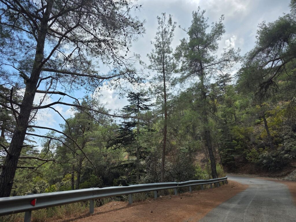 Έκταση 0,7 δεκαρίου με χαμηλή άγρια βλάστηση έκαψε πυρκαγιά στην Πελαθούσα