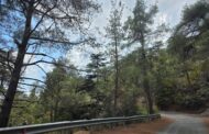 Έκταση 0,7 δεκαρίου με χαμηλή άγρια βλάστηση έκαψε πυρκαγιά στην Πελαθούσα