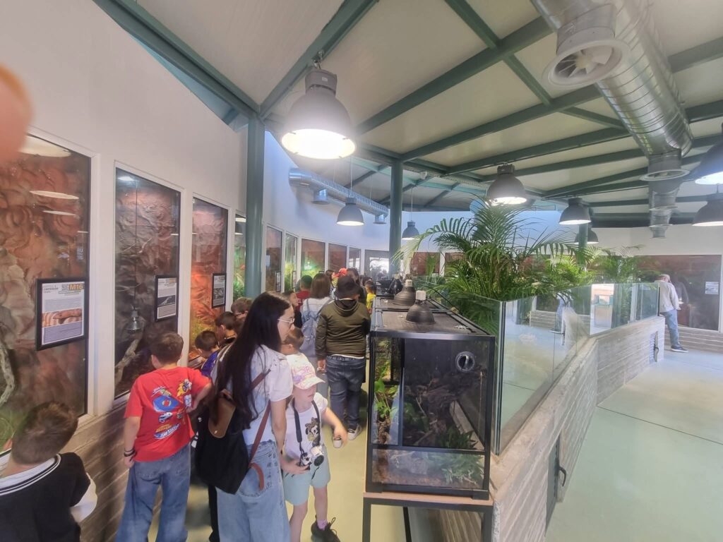 Πραγματοποιήθηκε η πρώτη επίσημη εκπαιδευτική επίσκεψη στο Πάρκο Ερπετών & Αμφιβίων Νέου Χωριού!
